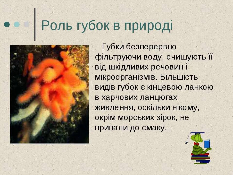 Как человек использует губки. Роль губок в природе. роль губок в жизни человека. значение губок в природе. роль губок в природе и жизни человека.