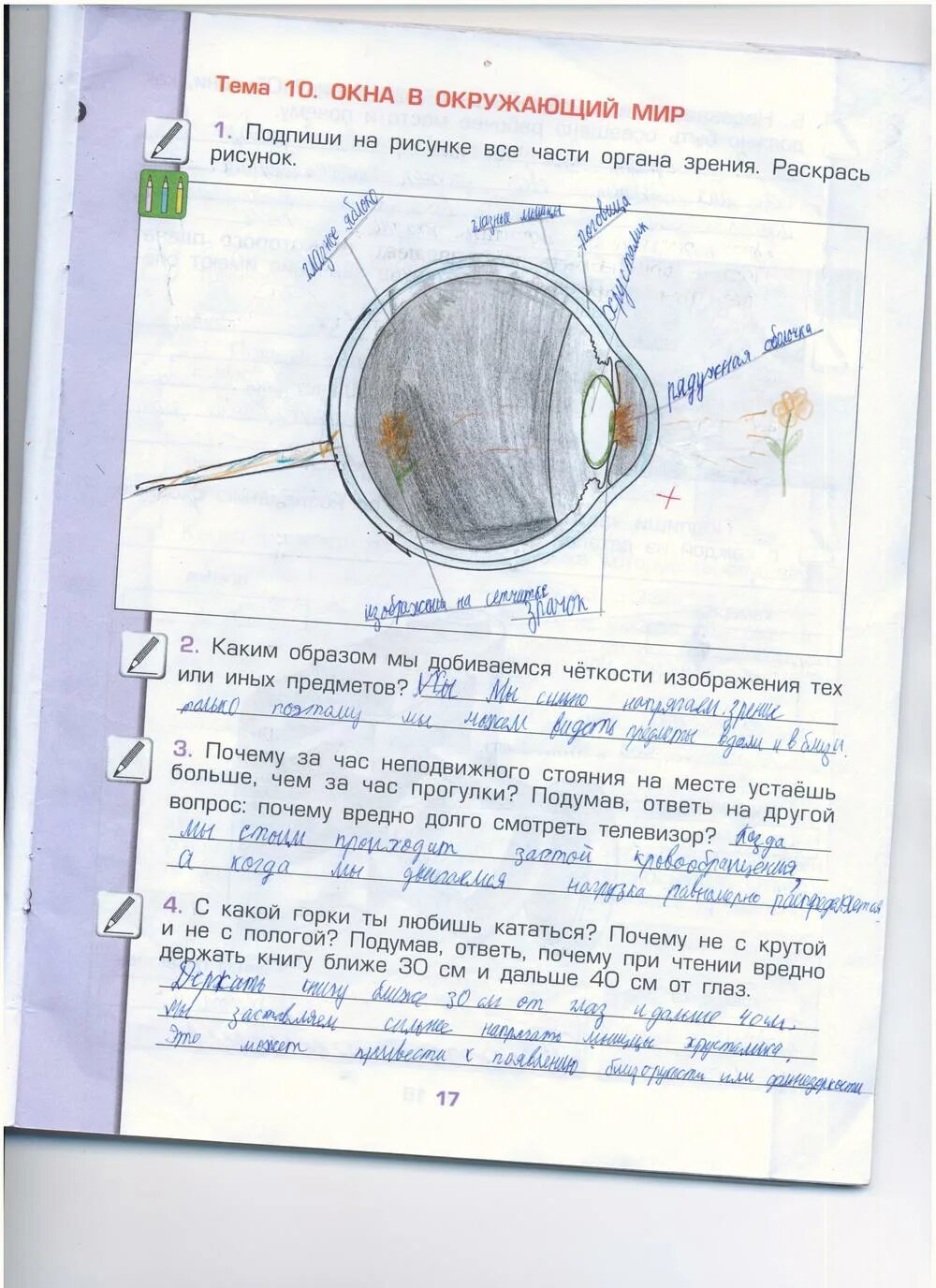Стр 17 упр 4 окружающий мир. Окружающий мир рабочая тетрадь Вахрушев 4 стр 4. Гдз окружающий мир 4 класс рабочая тетрадь Вахрушев. Рабочая тетрадь по окружающему миру 4 класс. Окружающий мир 4 класс рабочая тетрадь стр 17.