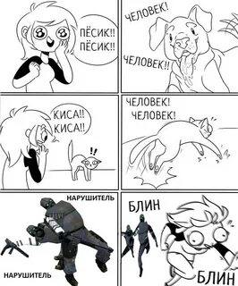 Песня киса киса песиком понюхай