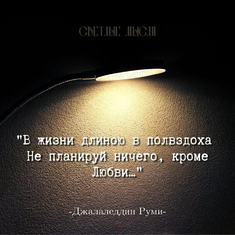 в жизни длиною в полвздоха не планируй ничего кроме любви. не планируй ничего кроме любви. в жизни длиною в полвздоха не планируй ничего кроме любви. в жизни длинной в полвздоха. не планируй ничего кроме любви.