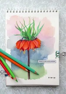 Как нарисовать каждый день