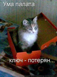 Ума палата