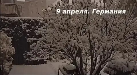 Дед вернулся