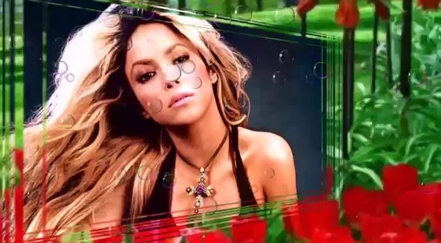 сорт вина бегут года