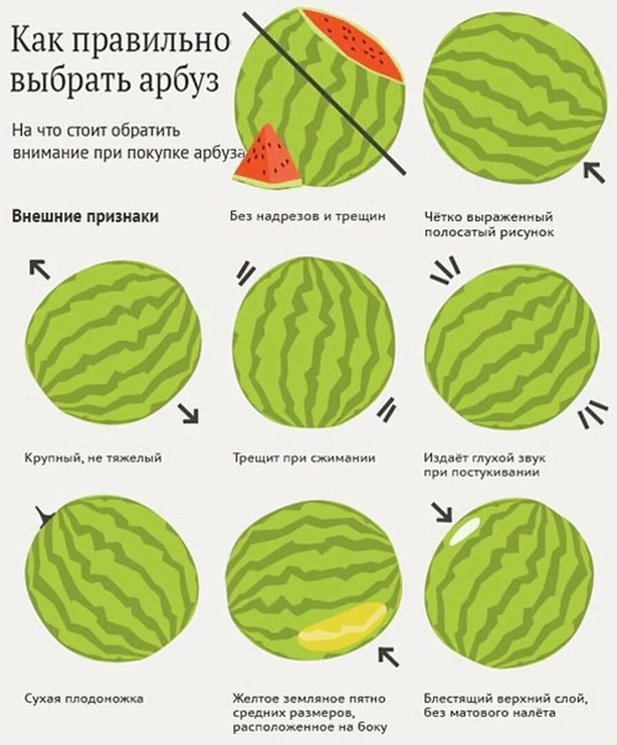 Составляющие арбуза. Арбуз белки жиры углеводы витамины. как правильно выбрать арбуз. калорийность арбуза. выбрать сладкий арбуз.