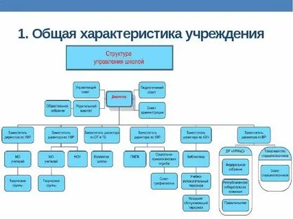 Органами управления фонда являются