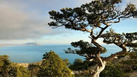 Национальные парки крыма список
