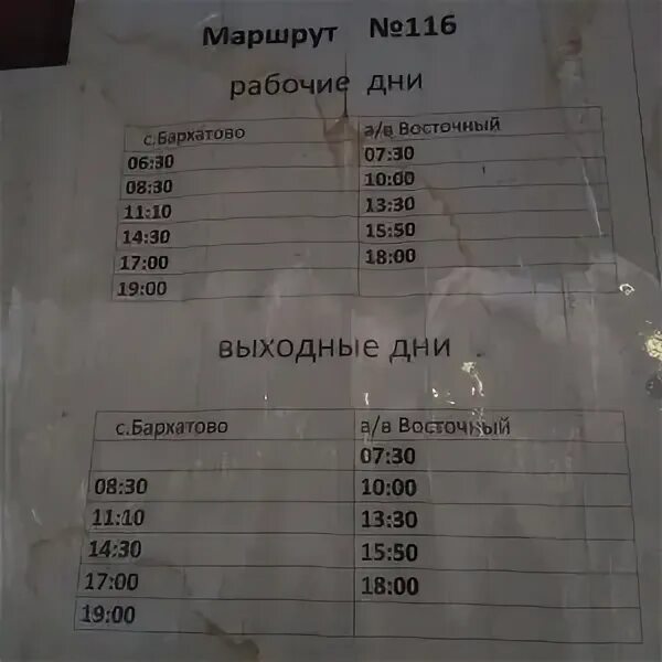Автобус 116. Расписание 116. Расписание автобуса 116 Омск береговой. 116 Автобус маршрут.