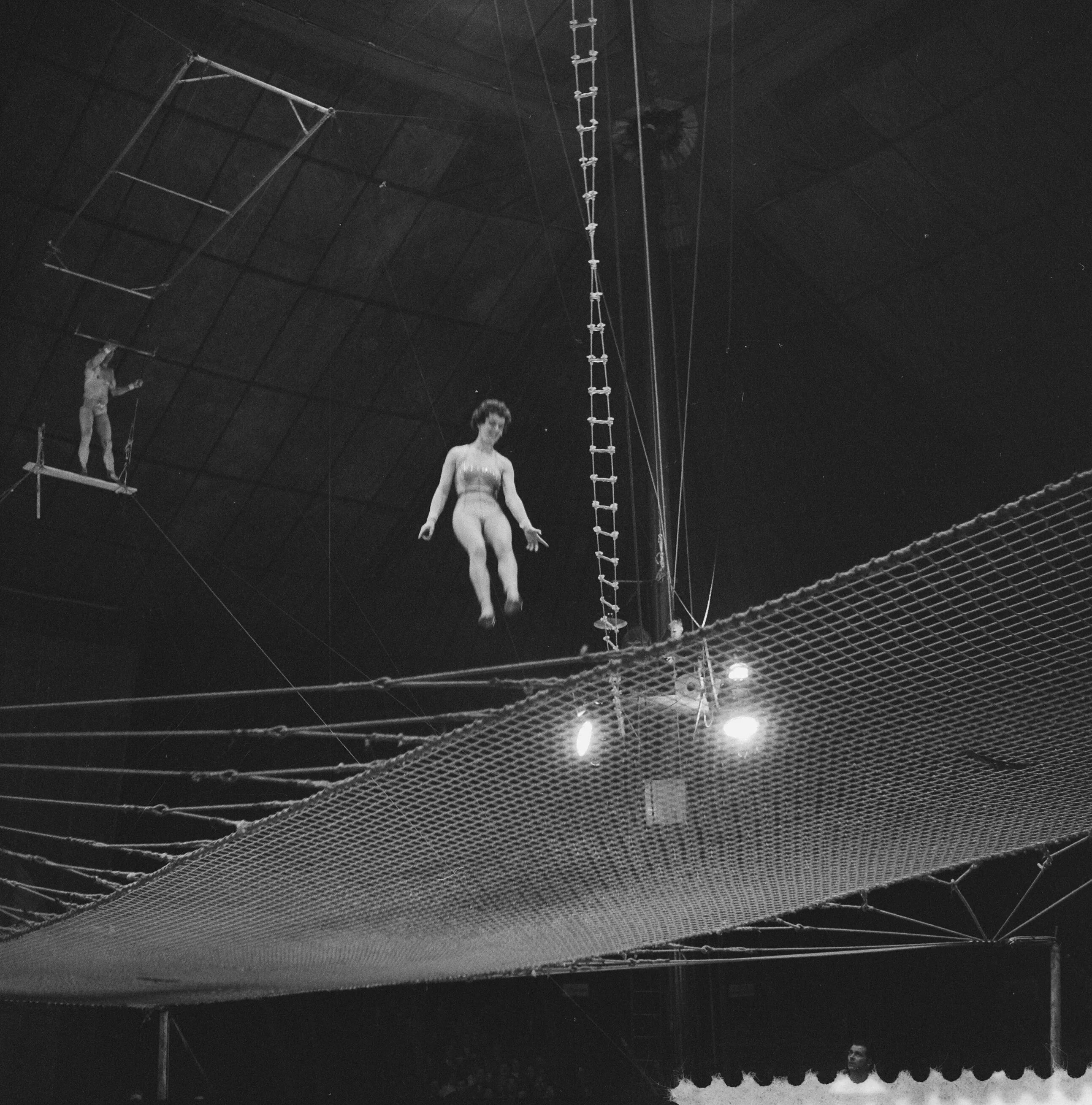 Trapeze перевод. Circus s1500. Trapeze artist. Circus Krone 1989. Октан Ван Циркус 2022.