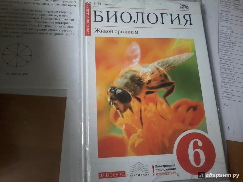 Биология 6 класс Захаров Сонина. Биология 6 класс Сонин живой организм. Биология 6 класс учебник Сонин с пчелой.