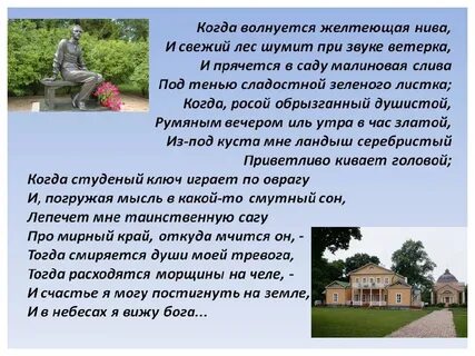 Анализ стихотворения нива