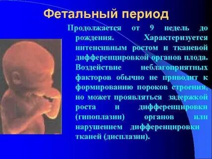 В этот период приводит к