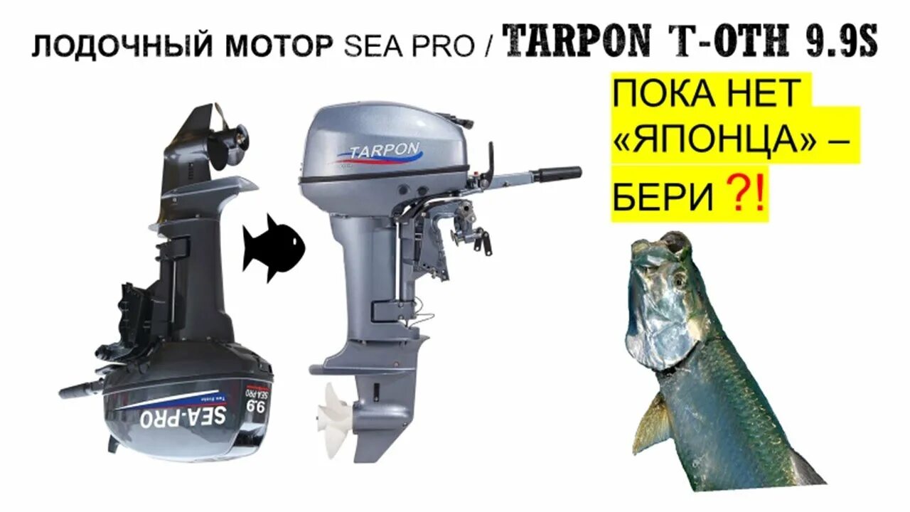 Купить лодочный мотор тарпон. Лодочный мотор Tarpon oth 9.9 s. Лодочный мотор Tarpon т-oth 9.9s двухтактный. Лодочный мотор Sea Pro oth 9,9s Tarpon. Tarpon 9.9 s oth характеристики.