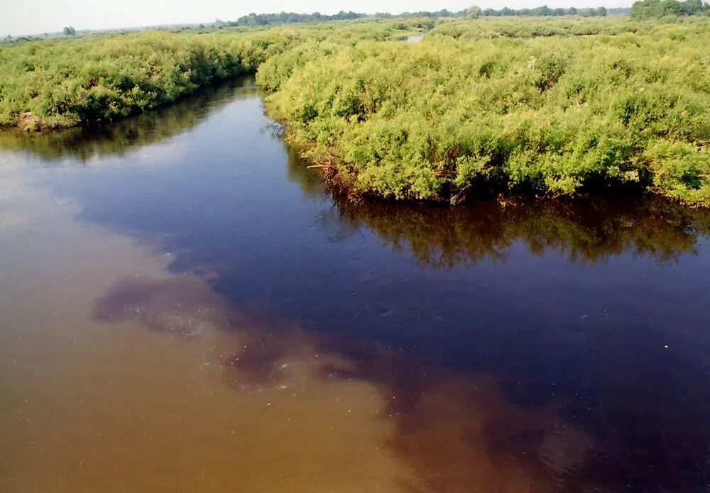 Аллинское ущелье бурятия. Озеро гасси хабаровский край. Обмеление реки в днепре. Обмеление волги кострома. Пиру-крик.