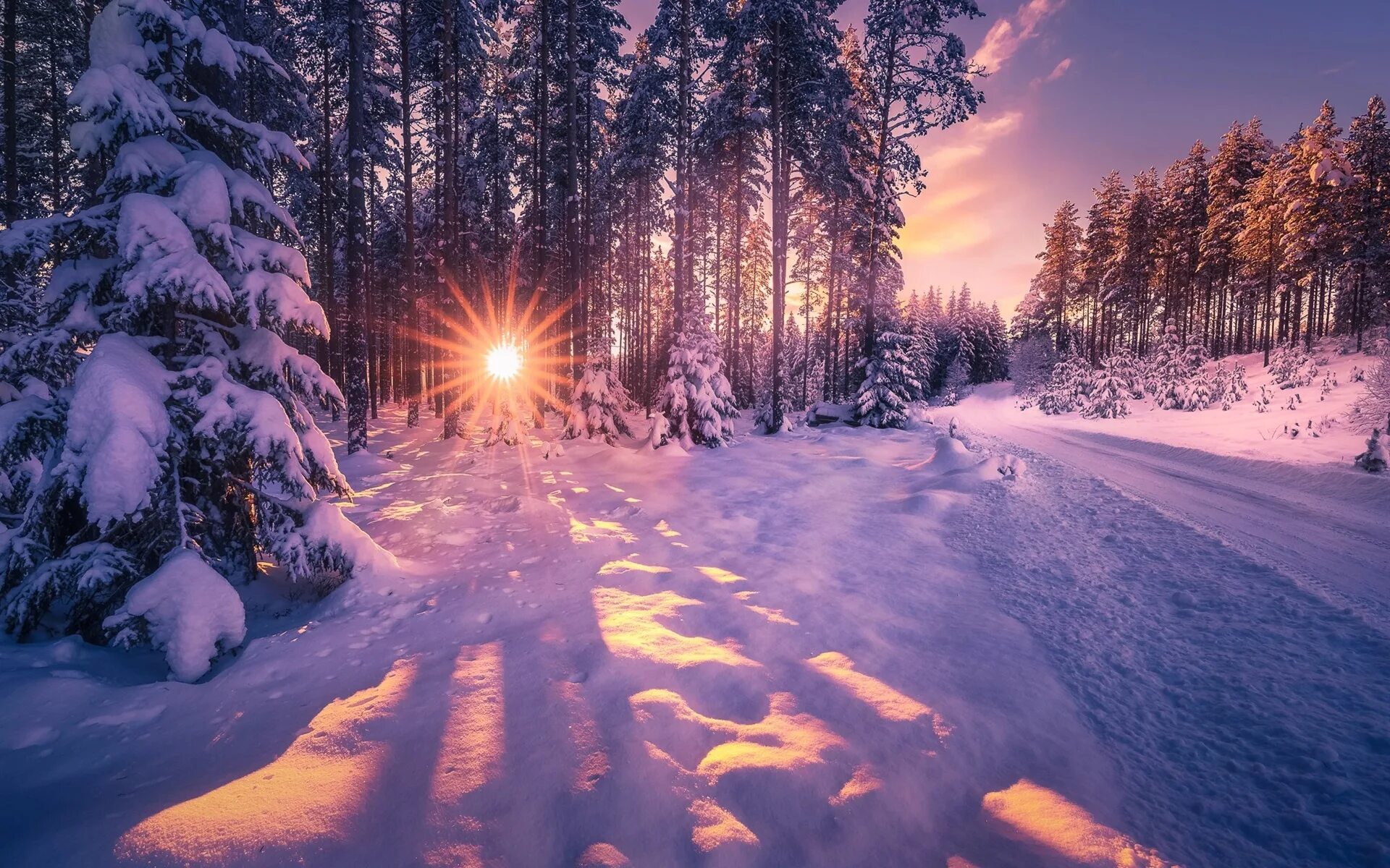 Зима в лесу. Леса зима. Красивая зима. Зимой в лесу. Зимнее снежное день