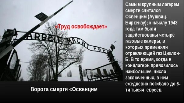 Надпись на воротах Освенцима. Труд освобождает Освенцим. Надпись на концлагере Освенцим. Труд освобождает концлагерь.