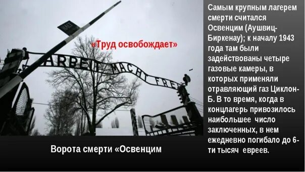 Что написано на воротах освенцима. Надпись на воротах освенцима. труд освобождает освенцим. надпись на концлагере освенцим. труд освобождает концлагерь.