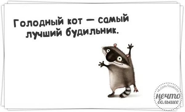 Скоро выходные. Завтра выходной. Перед выходными. Приколы перед выходными.