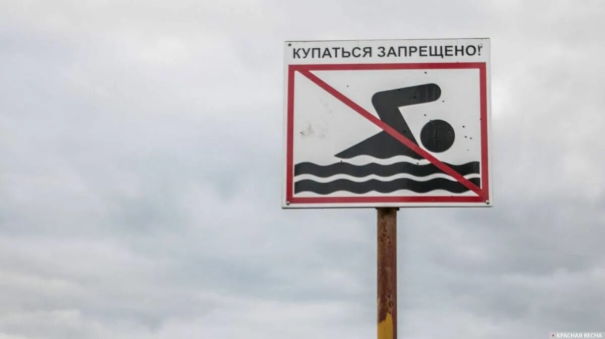Знак купаться запрещено картинка для детей. Знак «купаться запрещено». Купание запрещено табличка. Знакизарещающие купания. Купание запрещено картинки.
