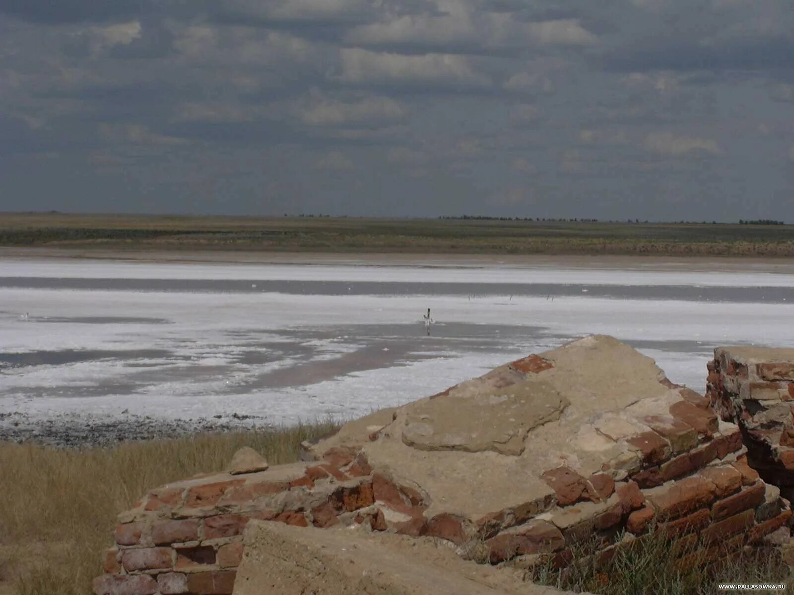 Село эльтон волгоградская область. Эльтон река сморогда. Астрахань озеро эльтон. Эльтон палласовка. Озеро эльтон.