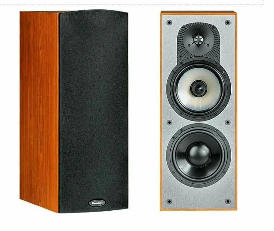 Paradigm monitor. Paradigm monitor 3 v2. paradigm monitor 5. elektronik 27 колонки. paradigm monitor 5 v.2 обзор.