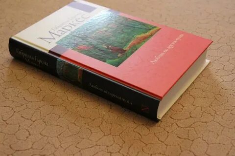 Автор книги любовь во время чумы 6