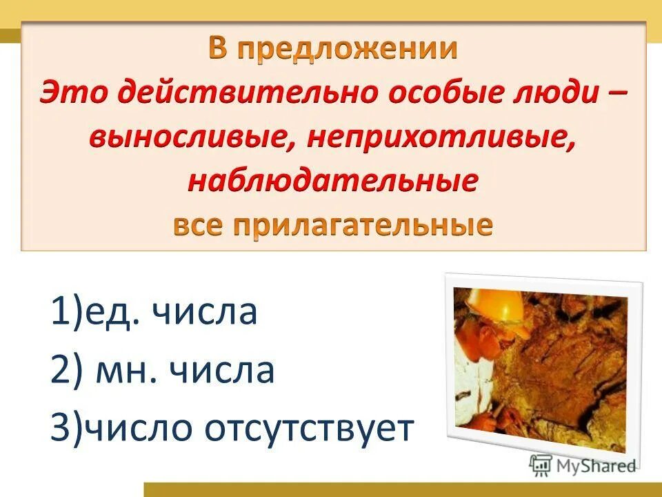 Люди ед число. Мне это 1 лицо. Люди ед число. Лыжи в ед числе. Склонение разносклоняемых имен существительных.