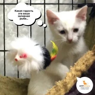 Какая гадость эта ваша рабочая суббота