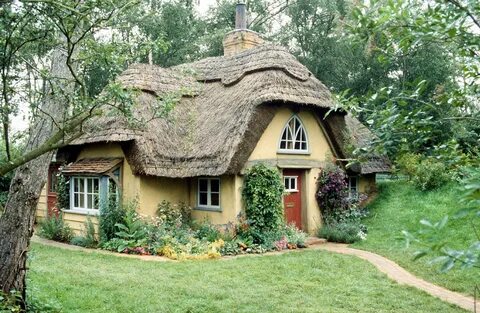 Tv house