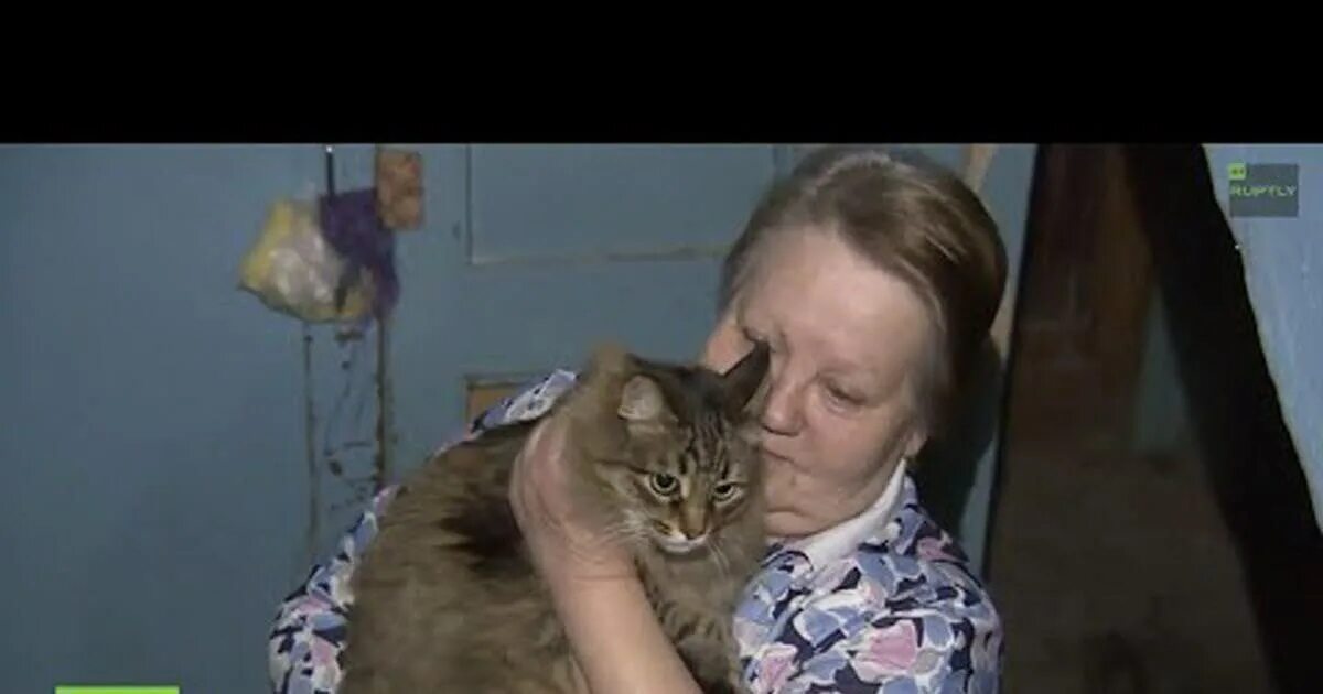 Кошечка маша. Кошка Маша. Кошка бейби спасла. Кошка Машка Омск. Маша самая известная кошка России Обнинск.