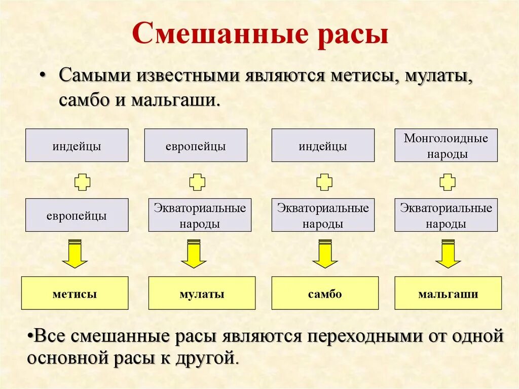 Смешанные расы. Расы смешанные расы. Названия смешанных рас. Смешанные расы людей названия. 3 типа рас