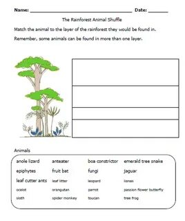 Forest school 7 grade plan