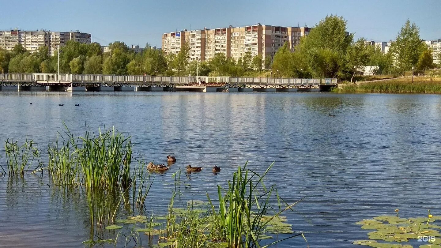 Ук озеро нижний. Мещерское озеро Нижний Новгород. Нищенское озеро Нижний Новгород. Район Мещерское озеро в Нижнем Новгороде. Нижний Новгород снимок Мещерского озера.