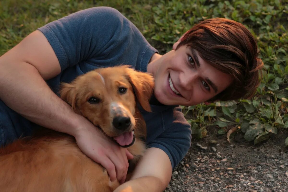 Life is dog