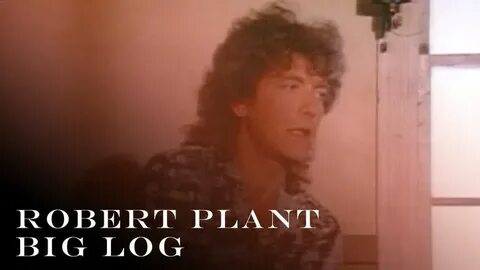 Plant big log