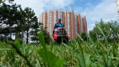 Красногорские покосы