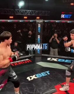 Поп мма. Mma tv. Мма тг канал. Мма тг канал. Мма тг канал.