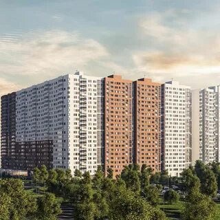 Forest москва