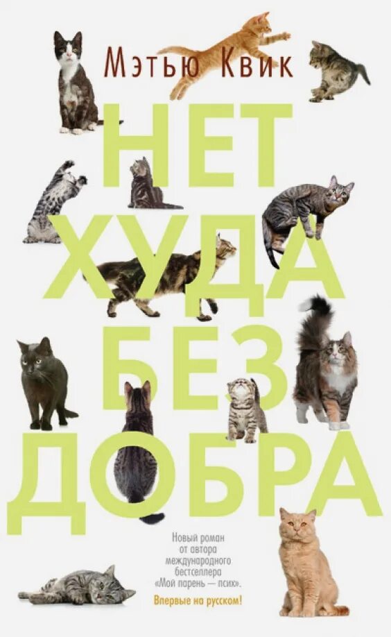 Что нет худа без добра. Мэтью квик нет худа без добра. нет худа без добра книга. нет худа. нет худа без добра картинки.