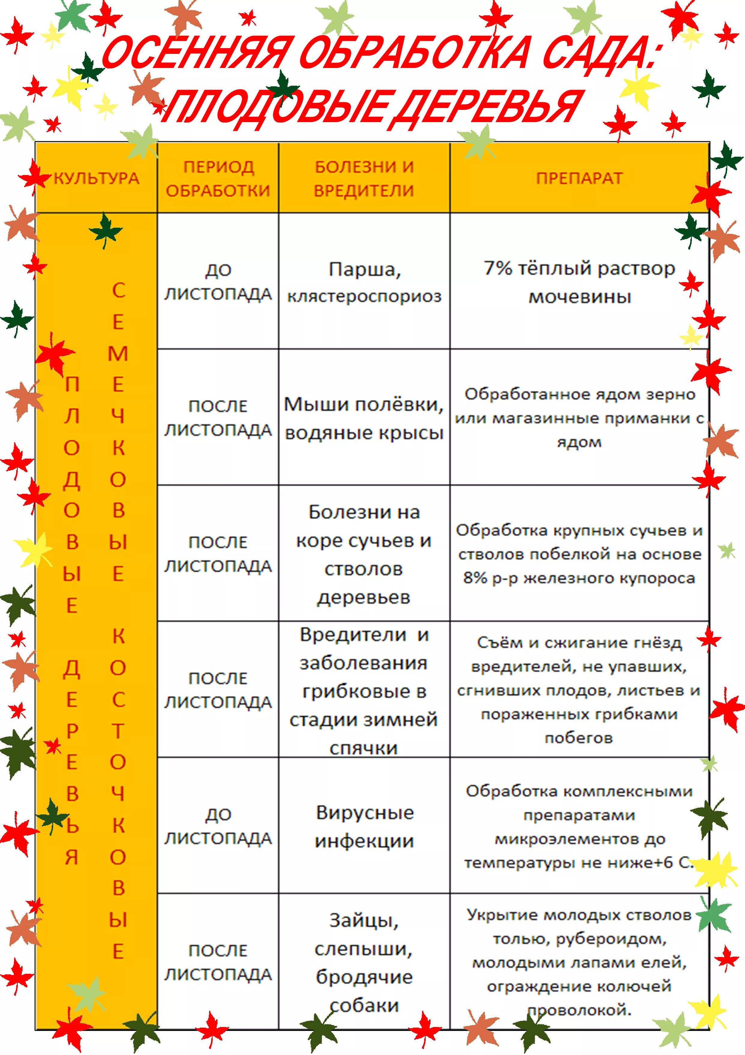 Схема обработки плодовых деревьев от болезней. Обработка плодовых деревьев осенью от вредителей и болезней таблица. Таблица обработки сада от вредителей и болезней весной. Обработка деревьев весной от вредителей и болезней таблица. Когда обрабатывать деревья весной в подмосковье