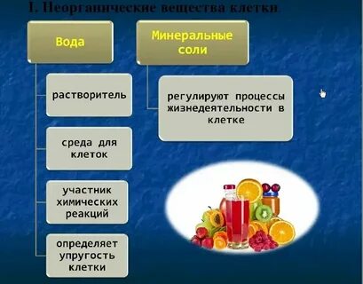 Функции неорганических и органических веществ минеральные соли