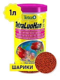 Тетра н