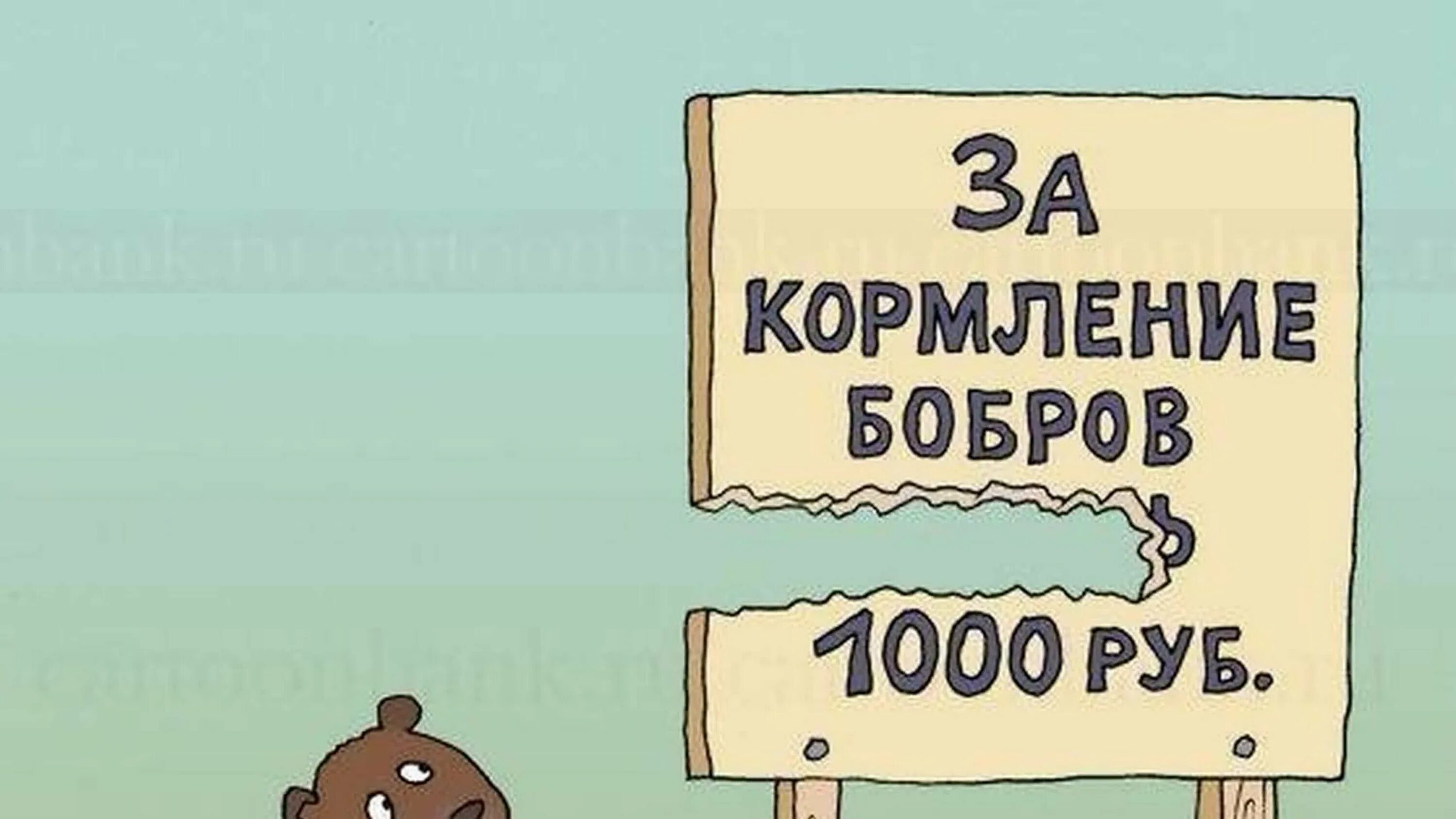 Мем с бобром