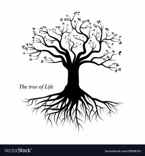 A tree without roots