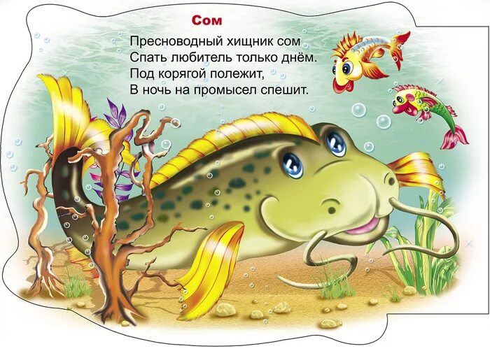 Стих про рыбку для детей. Стихи про рыб. Стих про рыбу для детей. Детские четверостишья про рыбу.