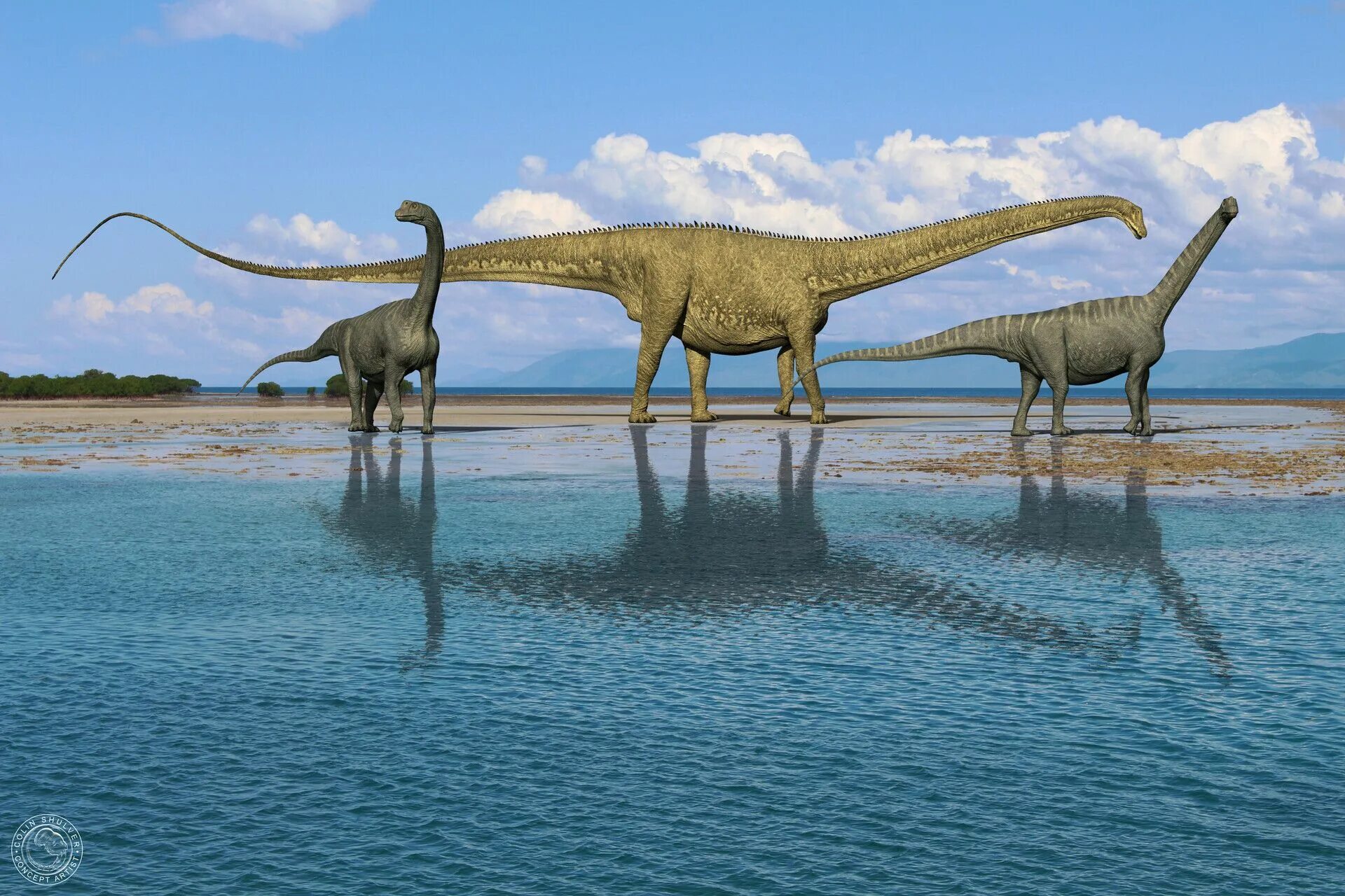 Есть большой динозавр. Диплодок. diplodocus динозавр. диплодок халлорум. диплодок травоядный.