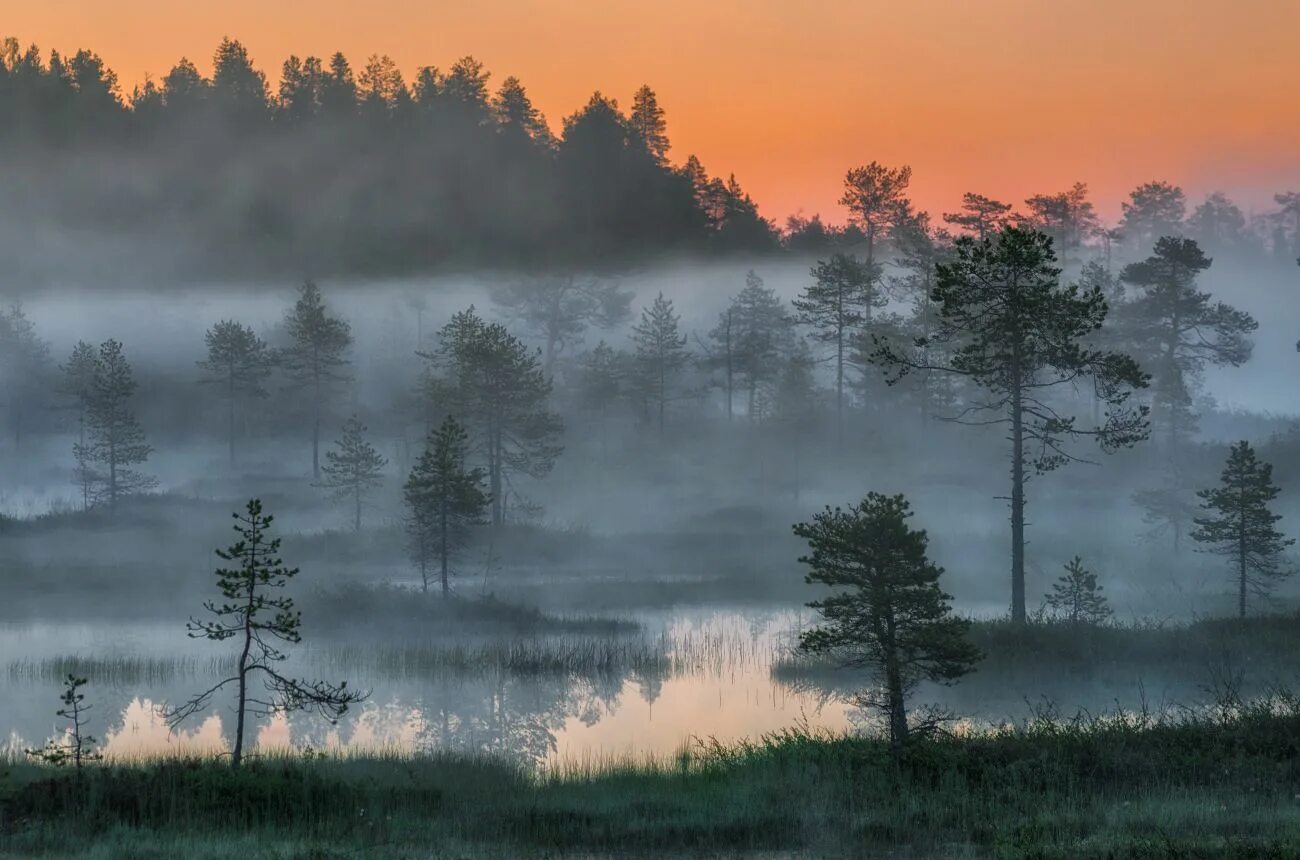 Какие есть состояния природы. Туманное озеро в Карелии. Туманный пейзаж. Предрассветный туман в лесу. Пейзаж болото.