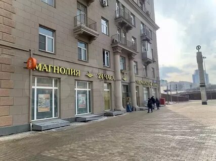 Магнолия кутузовский