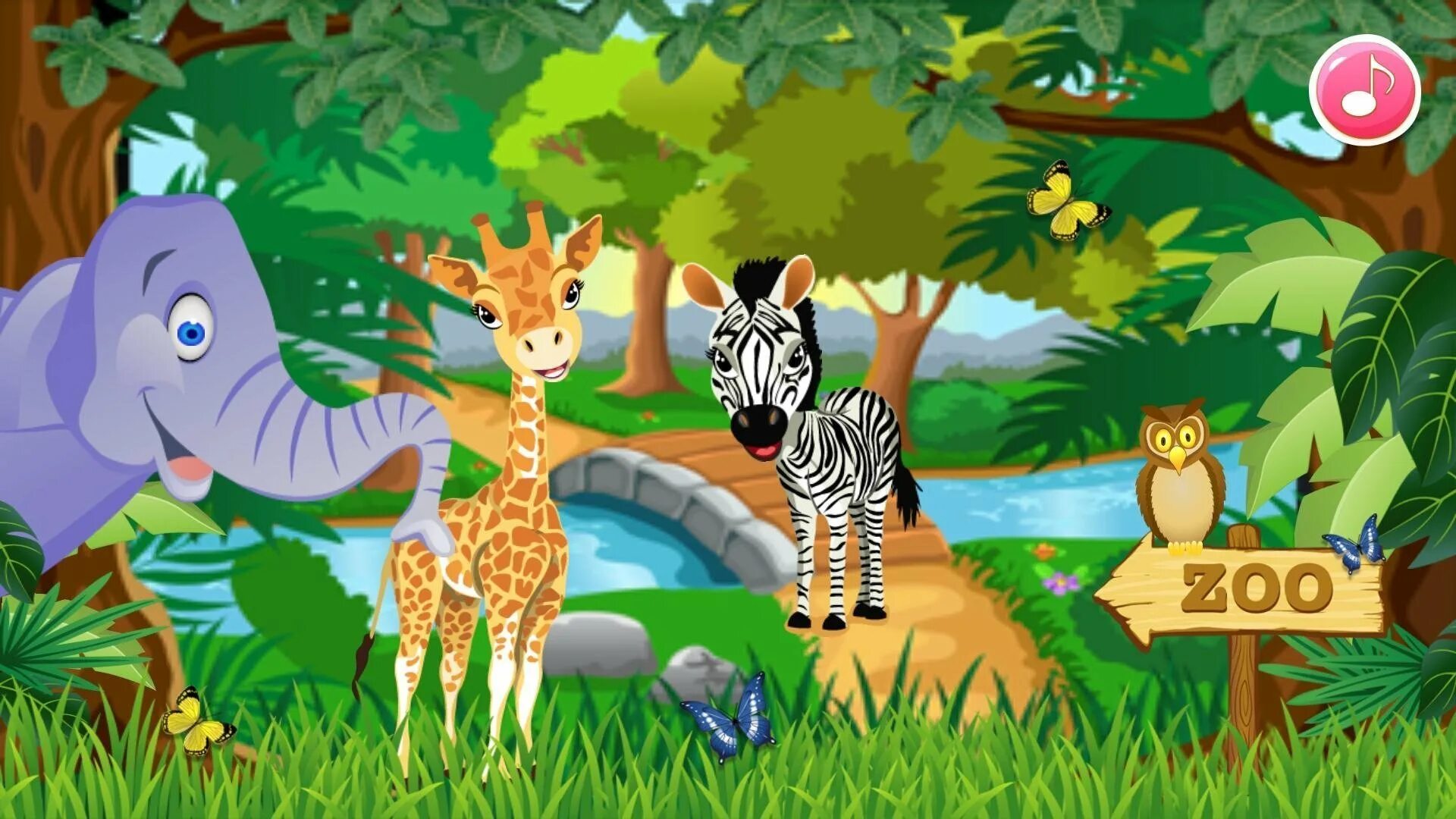 Kids box wild animals