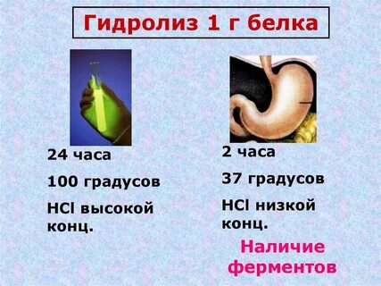 2 г белка